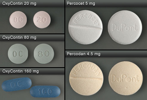 Oxycontin or Oxycodone Abuse Signs, Addictions & Symtoms